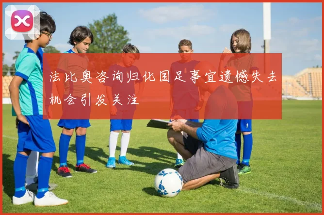 法比奥咨询归化国足事宜遗憾失去机会引发关注