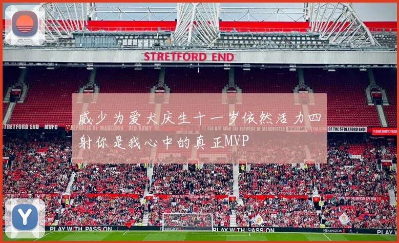 威少为爱犬庆生十一岁依然活力四射你是我心中的真正MVP