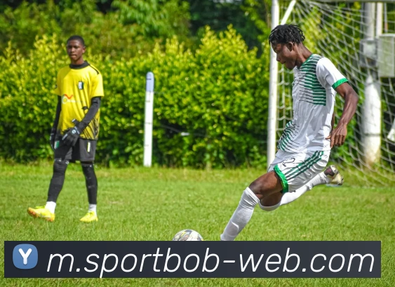 App Interface Preview