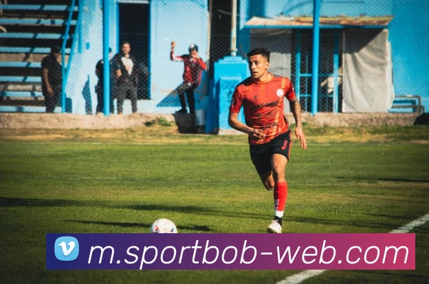 BOB体育APP 封面图